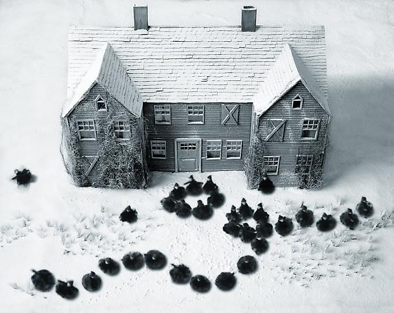 Midwinter’s Day
2011
pigment print
90 x112 cm