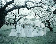 Orchard Ground
2011
pigment print
90 x 112 cm