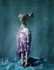 Purple Sequin Dress, 2016
Fine Art Print
60 x 47 cm