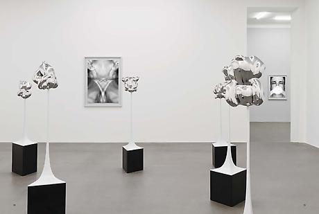 MARIA MIESENBERGER - REFLEKTION / REFLECTION

catalogue to the solo show at Lars Bohman Gallery 2013

paperback
23 pp.
Illustrated throughout
27.5 x 20.5 cm