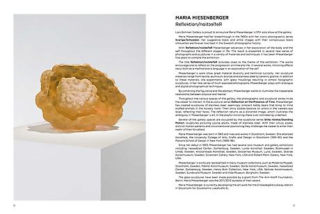 MARIA MIESENBERGER - REFLEKTION / REFLECTION

catalogue to the solo show at Lars Bohman Gallery 2013

paperback
23 pp.
Illustrated throughout
27.5 x 20.5 cm