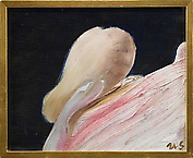 Untitled
1963
oil on canvas
29 x 36 cm