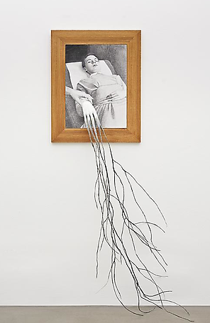 Growth VII
2013
pencil and mixed media on paper
73 x 60 x 15 cm