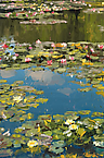 Garden 3
2014
oil on canvas
200 x 133 cm
