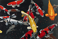 Koi 6
2013
oil on canvas
200 x 300 cm