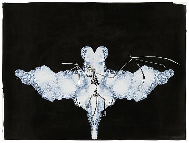 Tilda Lovell
Transformation
2012
collage, white ink on paper
22 x 40 cm