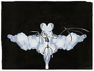 Tilda Lovell
Transformation
2012
collage, white ink on paper
22 x 40 cm