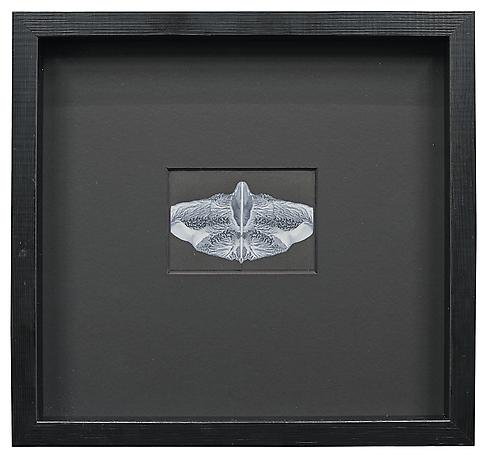 Celestial bodies 1
2014
ink on paper
25 x 26 cm