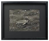 Celestial bodies
2014
india ink on paper
40 x 48 cm