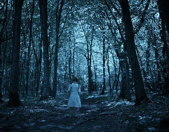 The Forest
2011
pigment print
88 x 112 cm