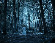 The Forest
2011
pigment print
88 x 112 cm