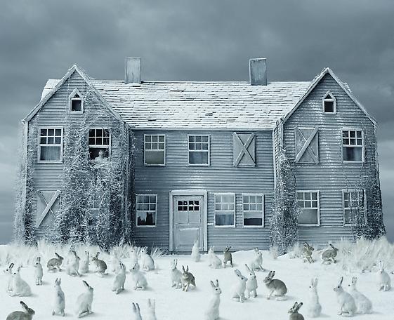 The White Garden
2011
pigment print
92 x 112 cm