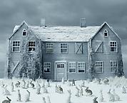 The White Garden
2011
pigment print
92 x 112 cm