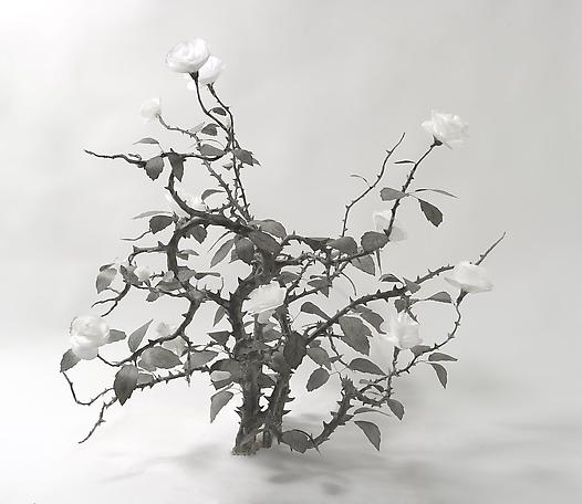 Thorns and Roses
2012
mixed media
100 x 100 x 100 cm