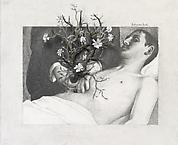 Bellyache Bush
2011
drawing and mixed media on paper 
21 x 30 x 10 cm