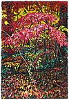 Pink Trees
2009
oil on wood panel
91.5 x 61 cm