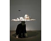 Ökenliv
2004
mixed media
dimensions variable