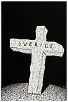 Petter Zennström
Sverige
2008
scratchboard drawing
23 x 15,5 cm