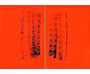 Idiot
2005
acrylic on canvas
230 x 325 cm
