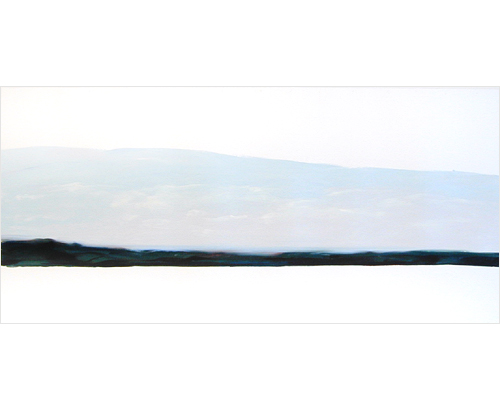 Untitled
2003
monotypie
123 x 248 cm