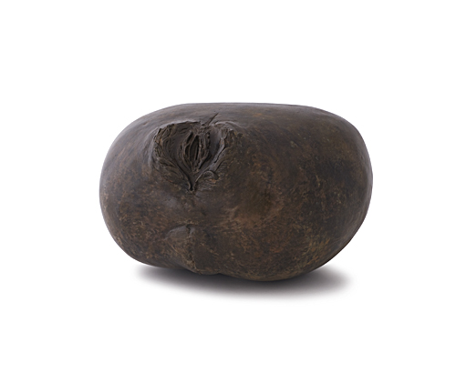 Torso III
2008
bronze
20 cm