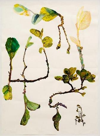 Study of leaves
2011
watercolour on paper and pressed plats
56 x 76 cm